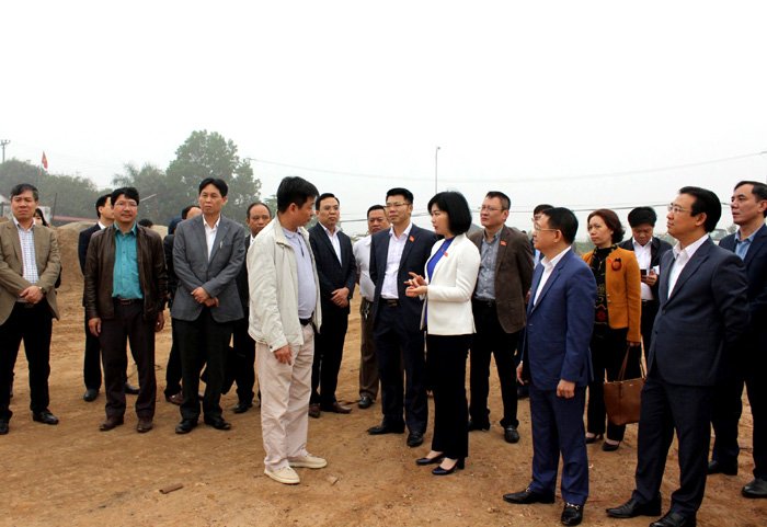 Xử lý dứt điểm các dự án chậm triển khai, vi phạm Luật Đất đai trên địa bàn Thành phố